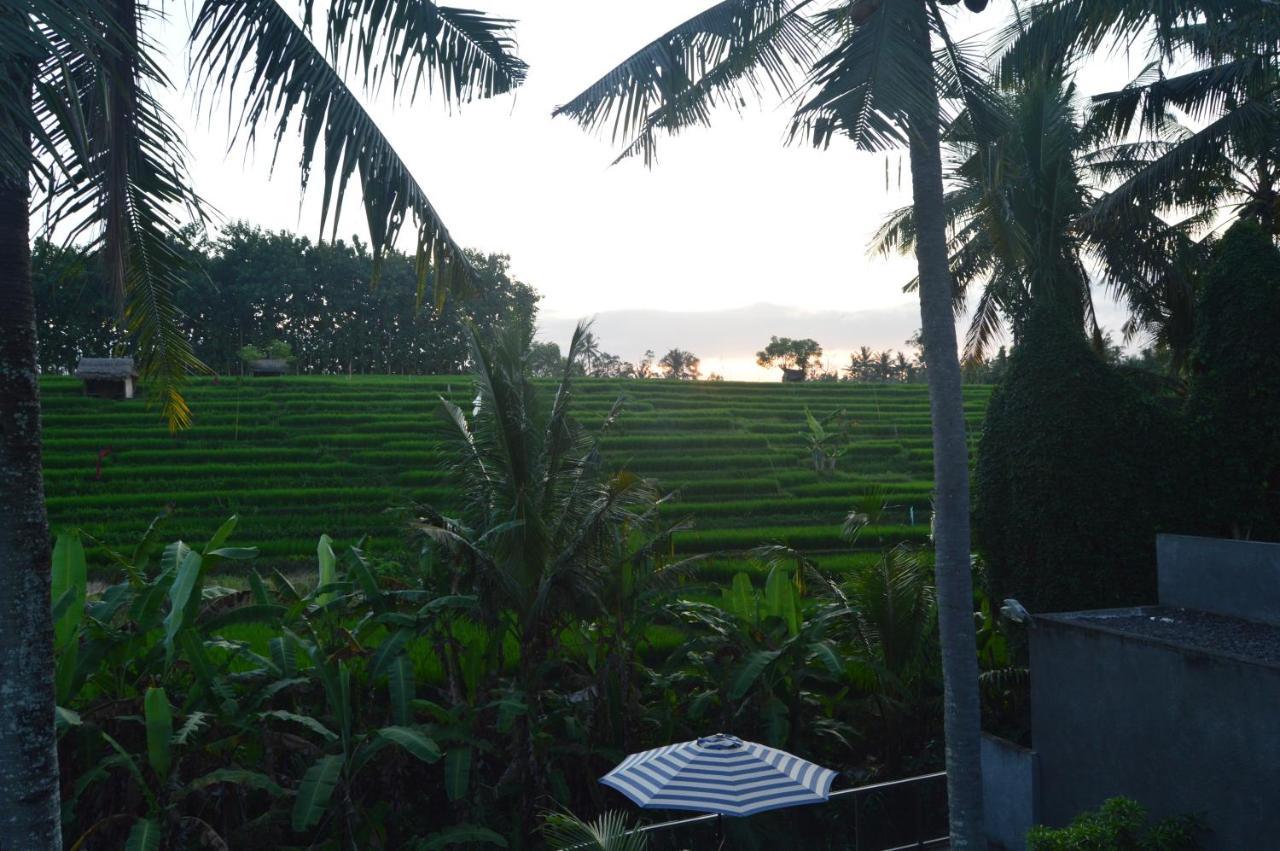 Serenity Private Villa Mas Ubud Buitenkant foto